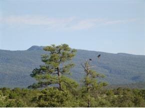 22 Nature Pointe Dr, Tijeras, NM 87059 - photo 5