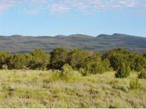 22 Nature Pointe Dr, Tijeras, NM 87059 - photo 4