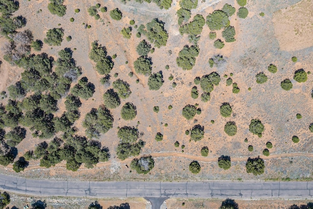 22 Nature Pointe Dr, Tijeras, NM 87059 - photo 7