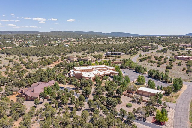 22 Nature Pointe Dr, Tijeras, NM 87059 - photo 6