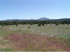 22 Nature Pointe Dr, Tijeras, NM 87059 - photo 21