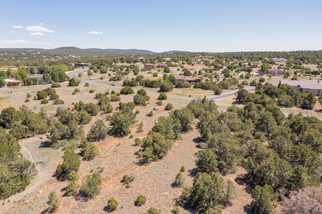 22 Nature Pointe Dr, Tijeras, NM 87059 - photo 20