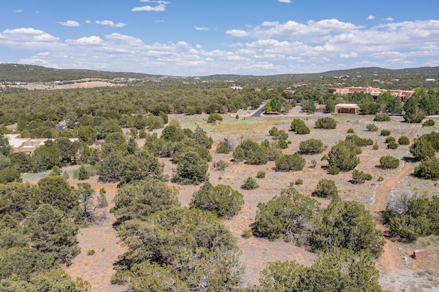 22 Nature Pointe Dr, Tijeras, NM 87059 - photo 19
