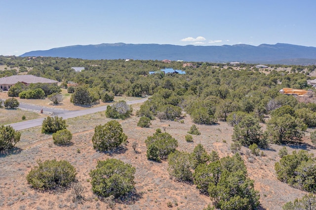 22 Nature Pointe Dr, Tijeras, NM 87059 - photo 18