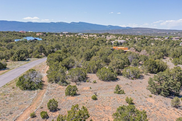 22 Nature Pointe Dr, Tijeras, NM 87059 - photo 17