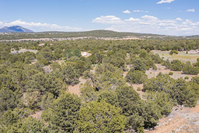 22 Nature Pointe Dr, Tijeras, NM 87059 - photo 16