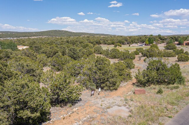 22 Nature Pointe Dr, Tijeras, NM 87059 - photo 15