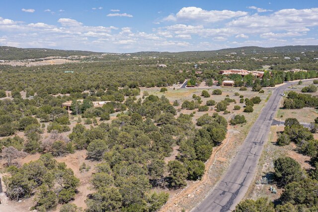 22 Nature Pointe Dr, Tijeras, NM 87059 - photo 12