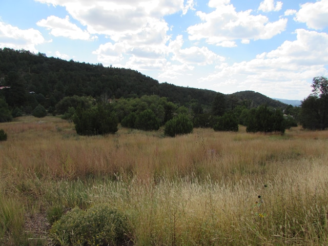 Listing photo 2 for 0 N 14, Cedar Crest NM 87008