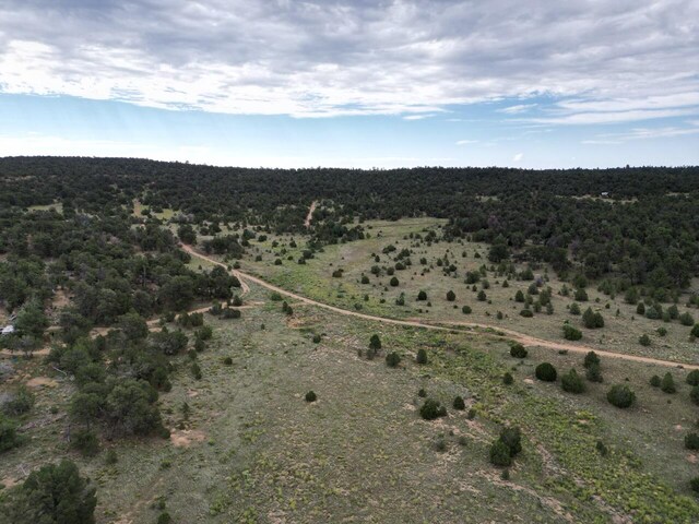LOT14 Candy Kitchen Rd, Ramah, NM 87321
