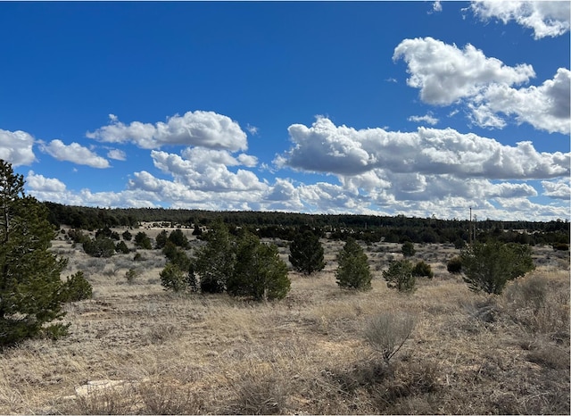 Listing photo 2 for LOT14 Candy Kitchen Rd, Ramah NM 87321