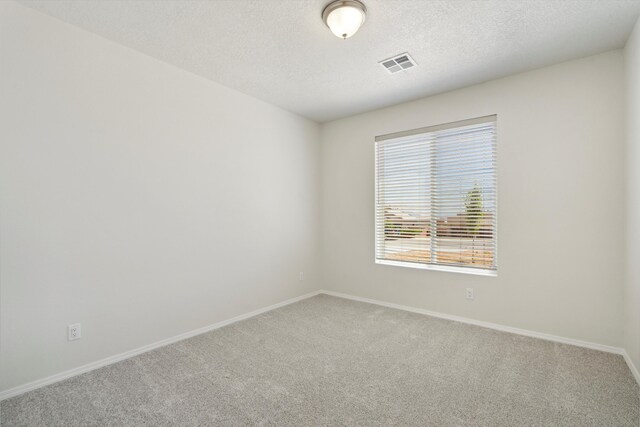 empty room with carpet floors and a textured ceiling