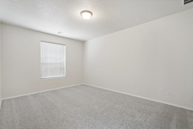 spare room with carpet flooring and a textured ceiling