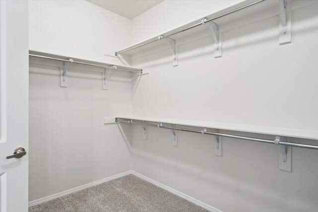 walk in closet with carpet flooring