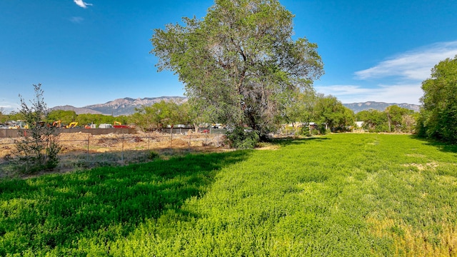 view of yard featuring a mountain view and a rural view