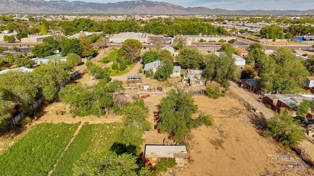 birds eye view of property featuring a mountain view