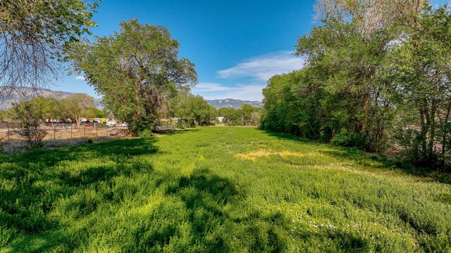 view of yard with a mountain view and a rural view