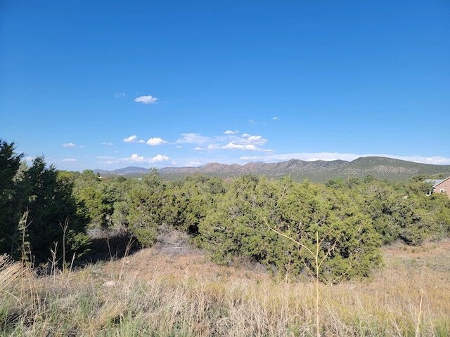 31 Paa Ko Ct, Sandia Park NM, 87047 land for sale