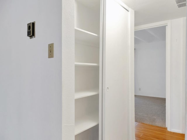 view of closet