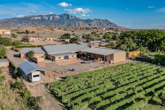 bird's eye view with a mountain view and a rural view