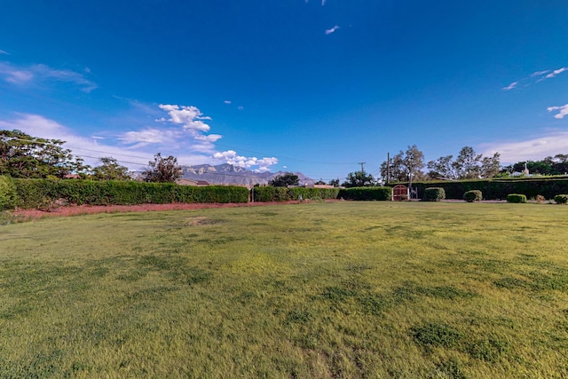 view of yard with a mountain view