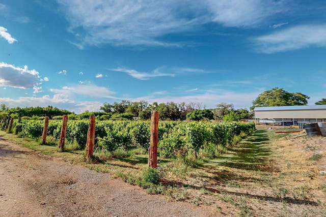 view of yard featuring a rural view