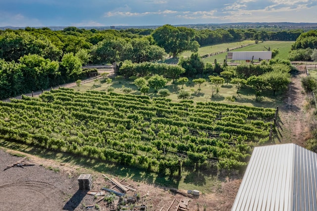 drone / aerial view featuring a rural view