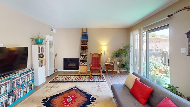 living room with hardwood / wood-style floors