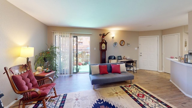 living room featuring light wood-type flooring