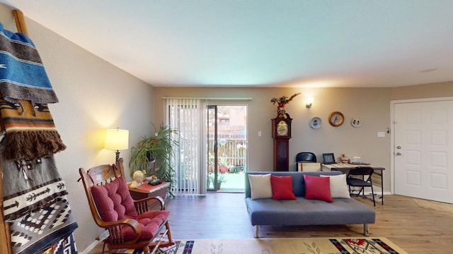 living room featuring hardwood / wood-style flooring