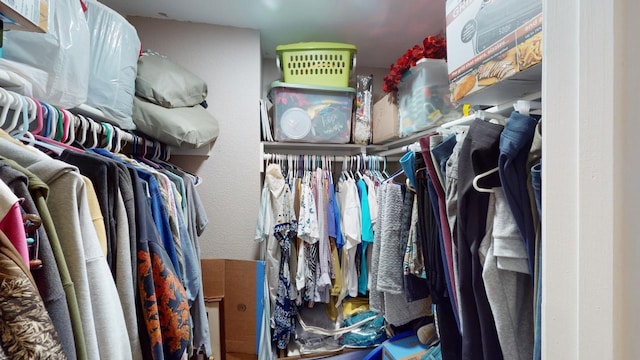 view of spacious closet