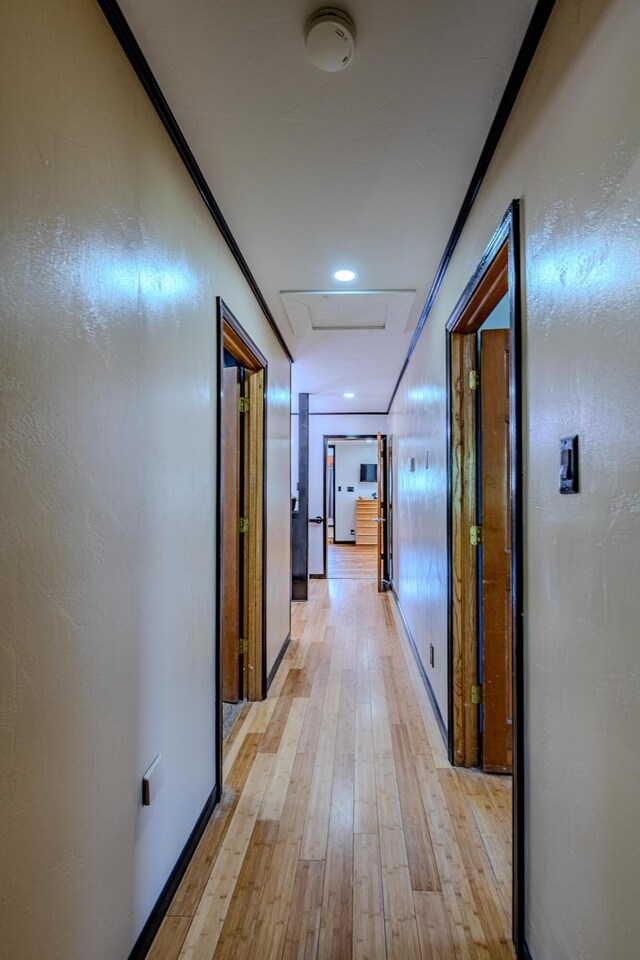 corridor with crown molding and light wood-type flooring