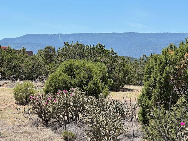 29 Via Entrada, Sandia Park NM, 87047 land for sale