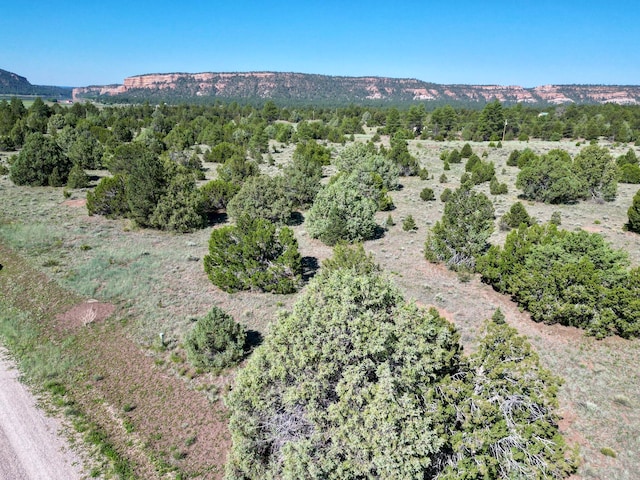 LOT15 Buttonwood Dr, Ramah, NM 87321