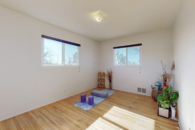 spare room featuring light hardwood / wood-style floors and a wealth of natural light