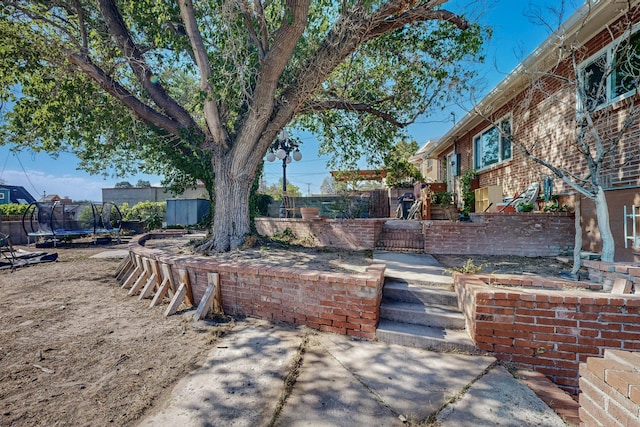 view of yard featuring a patio area and a trampoline