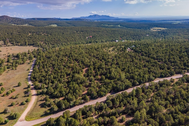 10 Young Rd, Tijeras, NM 87059 - photo 10