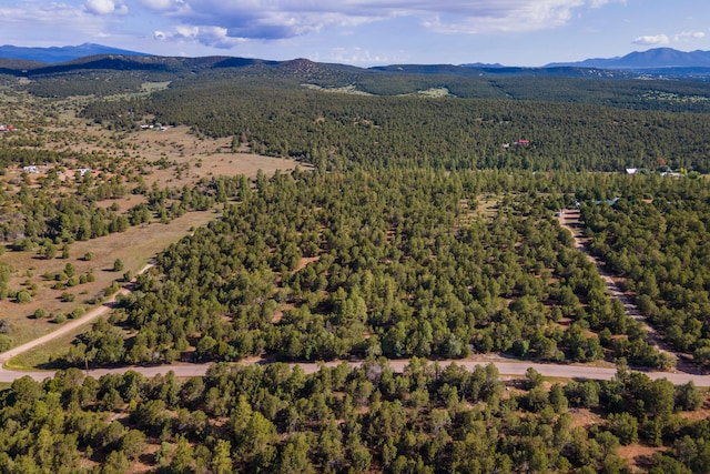 10 Young Rd, Tijeras, NM 87059 - photo 9