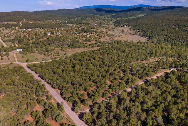 10 Young Rd, Tijeras, NM 87059 - photo 8