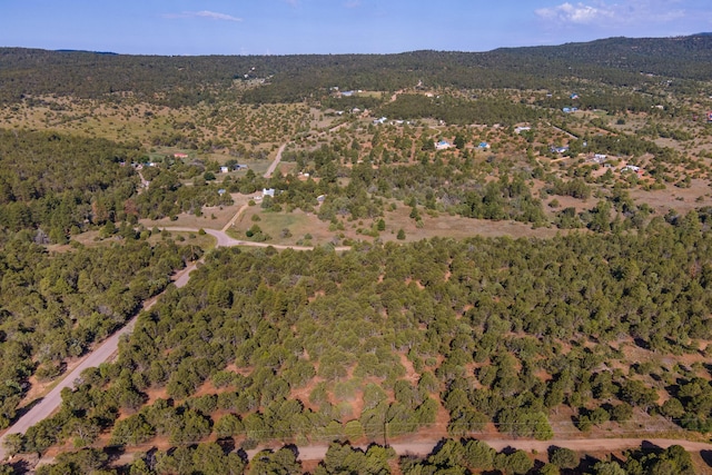 10 Young Rd, Tijeras, NM 87059 - photo 7