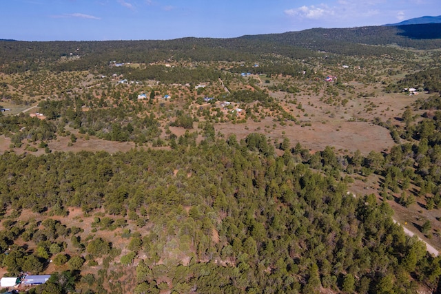 10 Young Rd, Tijeras, NM 87059 - photo 6