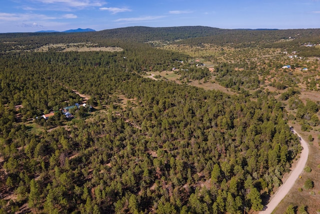 10 Young Rd, Tijeras, NM 87059 - photo 5