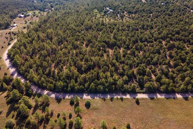 10 Young Rd, Tijeras, NM 87059 - photo 4