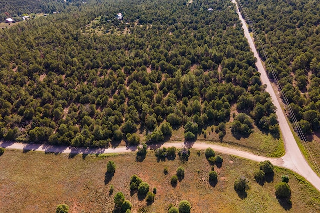 10 Young Rd, Tijeras, NM 87059 - photo 3