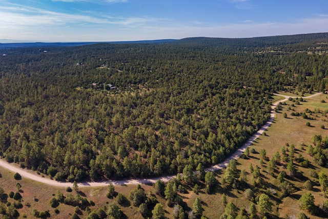 10 Young Rd, Tijeras, NM 87059 - photo 2