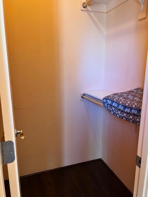 walk in closet with hardwood / wood-style floors