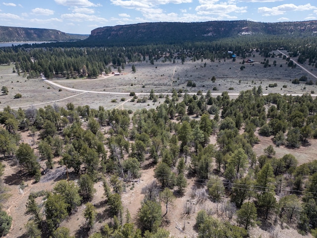 Listing photo 3 for LOT5 Sagebrush Rd, Ramah NM 87321