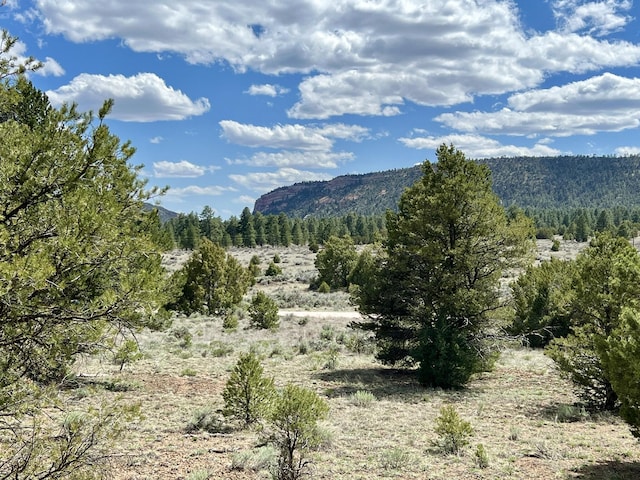 LOT5 Sagebrush Rd, Ramah NM, 87321 land for sale