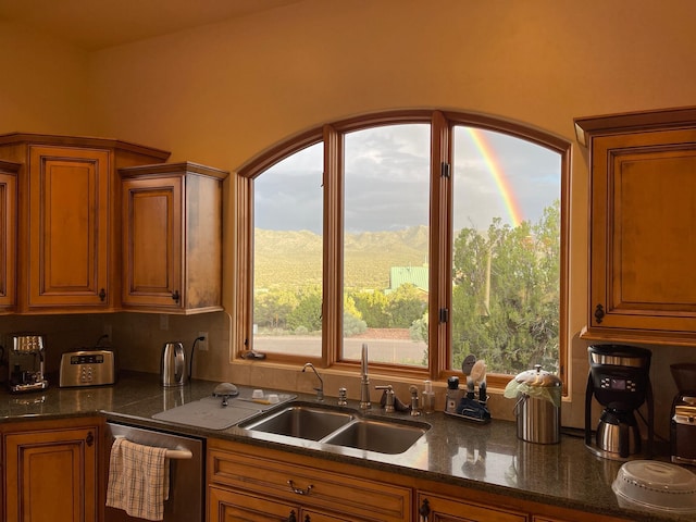 kitchen featuring dark stone counters, sink, stainless steel dishwasher, and plenty of natural light