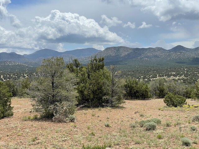 14 Tecolote Ct, Sandia Park, NM 87047 - photo 10